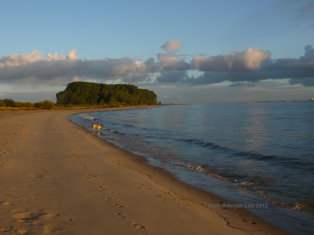 Hundestrand an der Elbe