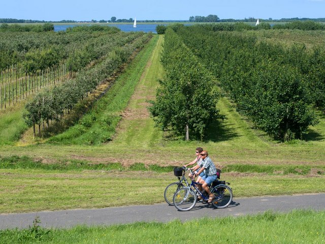 Radeln durchs Alte Land
